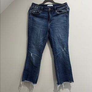 Flying Monkey Dark Blue Ankle Jeans
